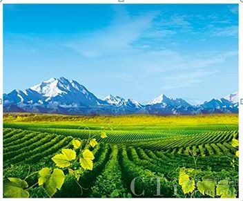 �Ї����Ѿ�